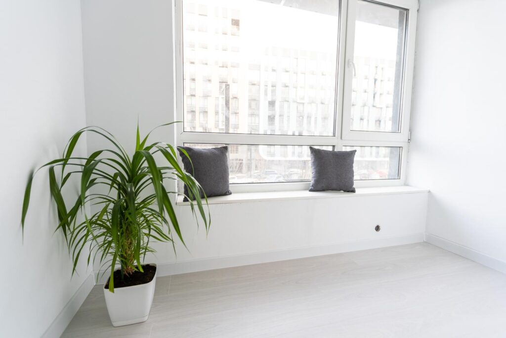 Plants perfect for small spaces